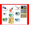 pin / bross / button