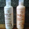 walet lotion day & night