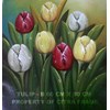 lukisan tulip - 6007