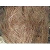 coir fiber