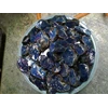 blue amber-amber blue