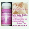 lulur susu domba