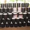 mug bunglon/ magic-3