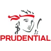 prudential investment account
