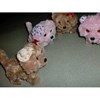 robot doggy mini