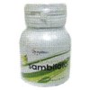sambiloto