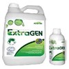 extragen