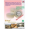 sabun dna bengkoang