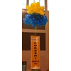 balon gas
