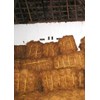 coco fiber