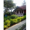villa ciawi puncak bogor