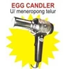 egg candler