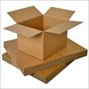 kardus/ karton box ( corrugated carton box)