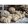 recycled teak - root ball