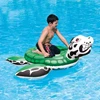 ride on dragon turtle 41041