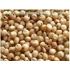 sweet sorghum seed ( sari farm)