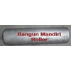 pengadaan roller belt conveyor