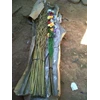 bunga kering