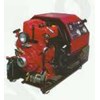 cet fire pump pfp-46hp vw-2d