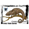 20 trik cameleon card