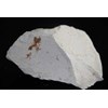 dolomite, dolomit