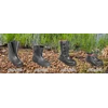 other range of products boots ( non safety) | harvik terbaik