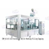 chm 40-40-10jr automatic bottle washing filling capping machine