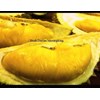 durian musang king-5