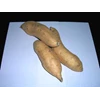 cilembu sweet potato