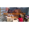 proses packing cassia