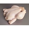 ayam potong