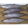 tenggiri ( spanish mackerel )-5