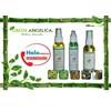 green angelica paket maximal treatment