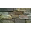 mosaik fosil kayu