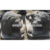 br013 - lion set