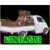angkutan pickup & truck