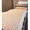 cotton webbing biscuit belt-1