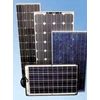 solar sel / panel 100wp