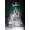 autoclavable bags sa21-05