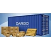 cargo container domestics