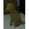 anjing