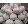 bawang putih