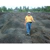 dijual palm kernel shell