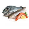smarkit rapid test in seafood and fish