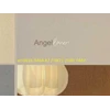 wallpaper anggel lover
