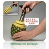 stainless stel pineapple