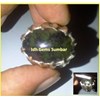 badar lumut