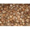buah pinag / areca nut