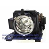 original lampu lcd projector avio