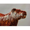 boneka harimau bisa dinaiki | mainan anak kuda kudaan si kambi